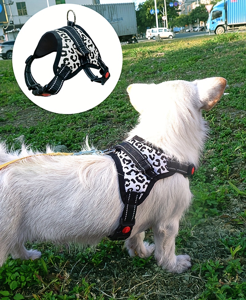 Dog harness leopard on sale print