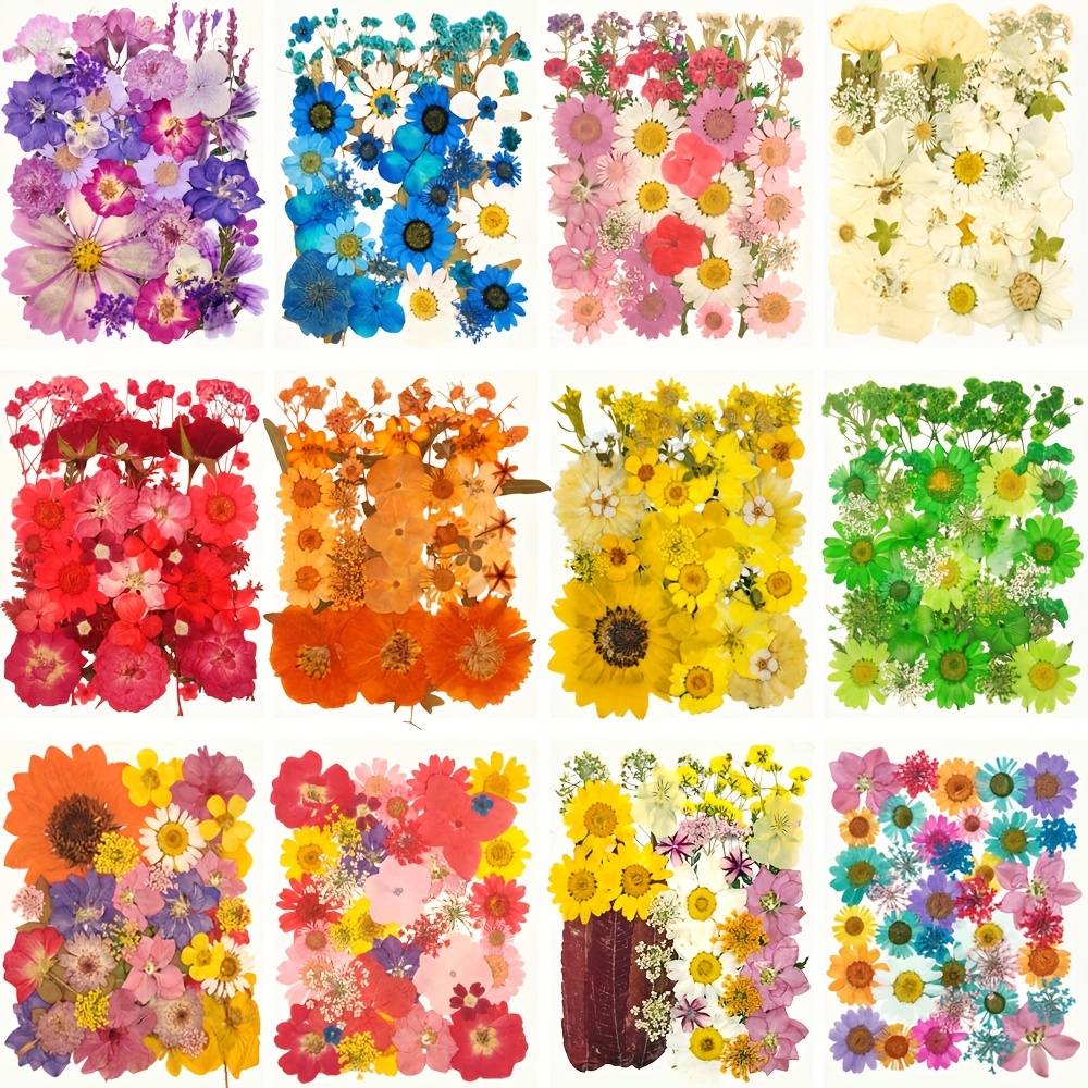 140 Pcs Dried Pressed Flowers for Resin, Real Pressed Flowers Dry Leaves  Bulk