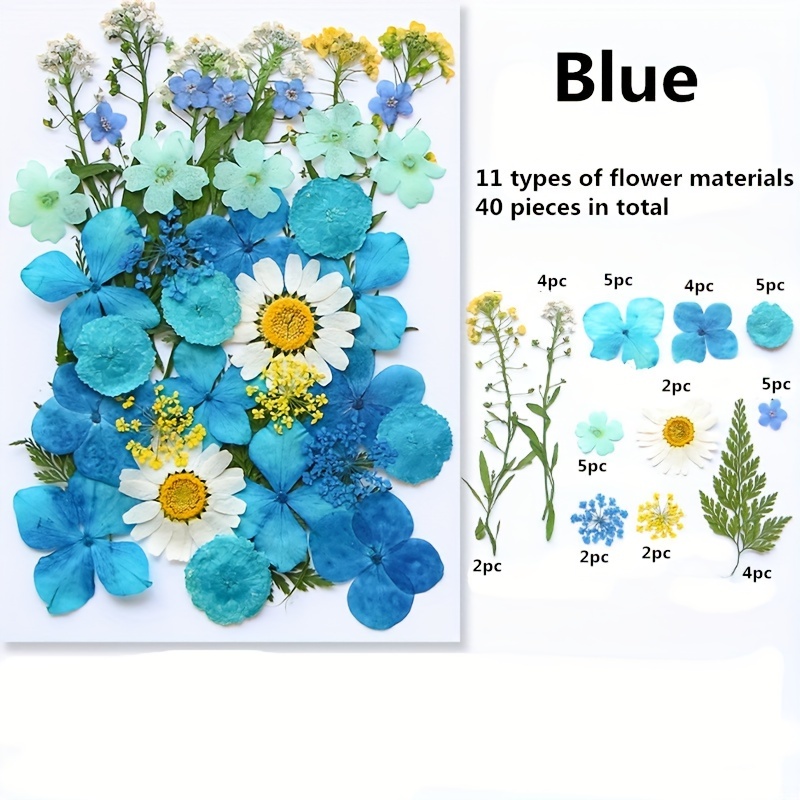 Pressed Flowers for Resin Dried Flowers for Resin Molds Small Large Natural  Dry Flowers Leaves Bulk for DIY Art Crafts YH12