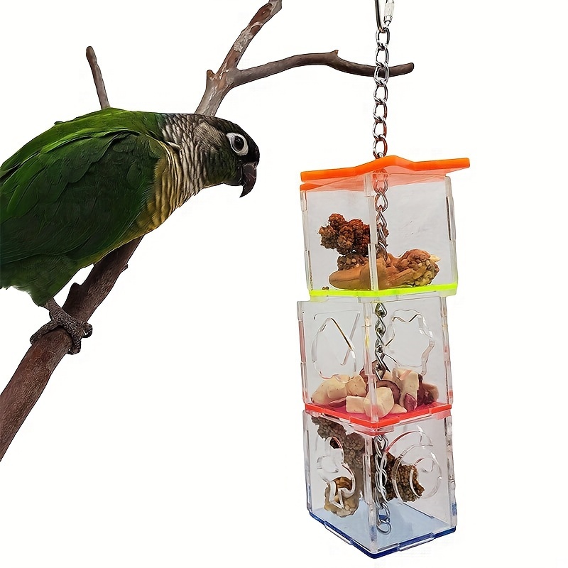 Parrot puzzle hot sale feeder