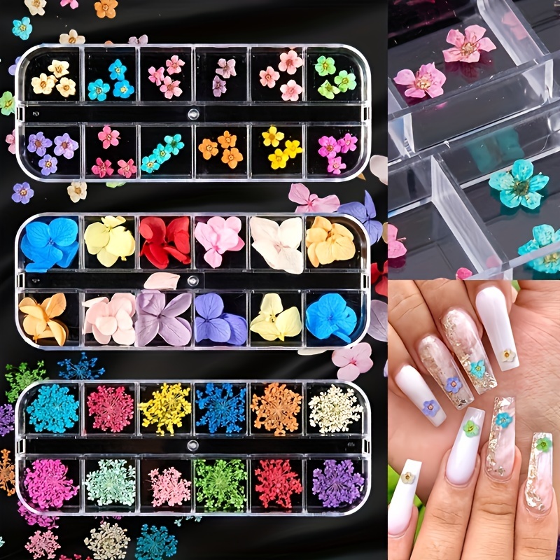 3d Nail Dried Flowers Mini Real Natural Flowers Applique - Temu