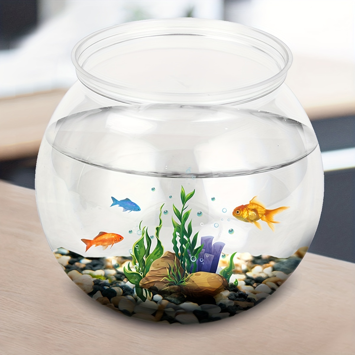 Round Glass Aquarium Bowl with Tiny Peacock Fish Stock Photo - Image of  fishbowl, aquatic: 226917498