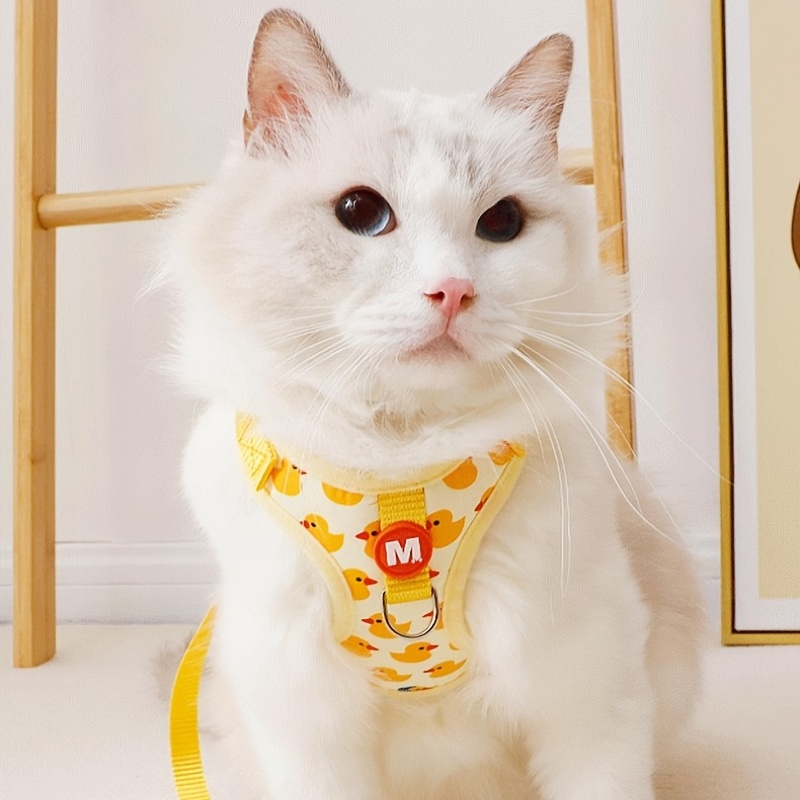 Designer hotsell cat harness