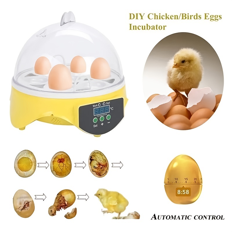 1pc Automatic Poultry Hatcher - Temperature And Humidity Control For 7 Eggs