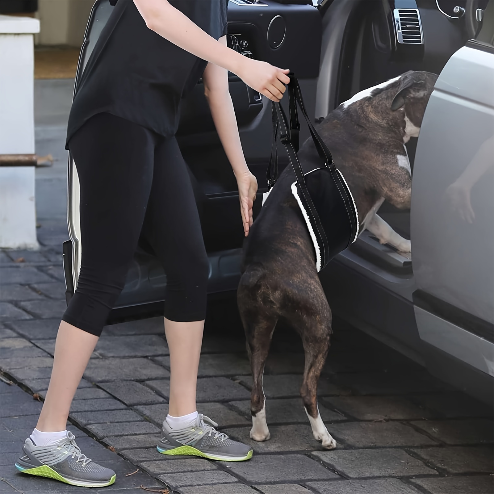 Dog leggings for outlet back legs