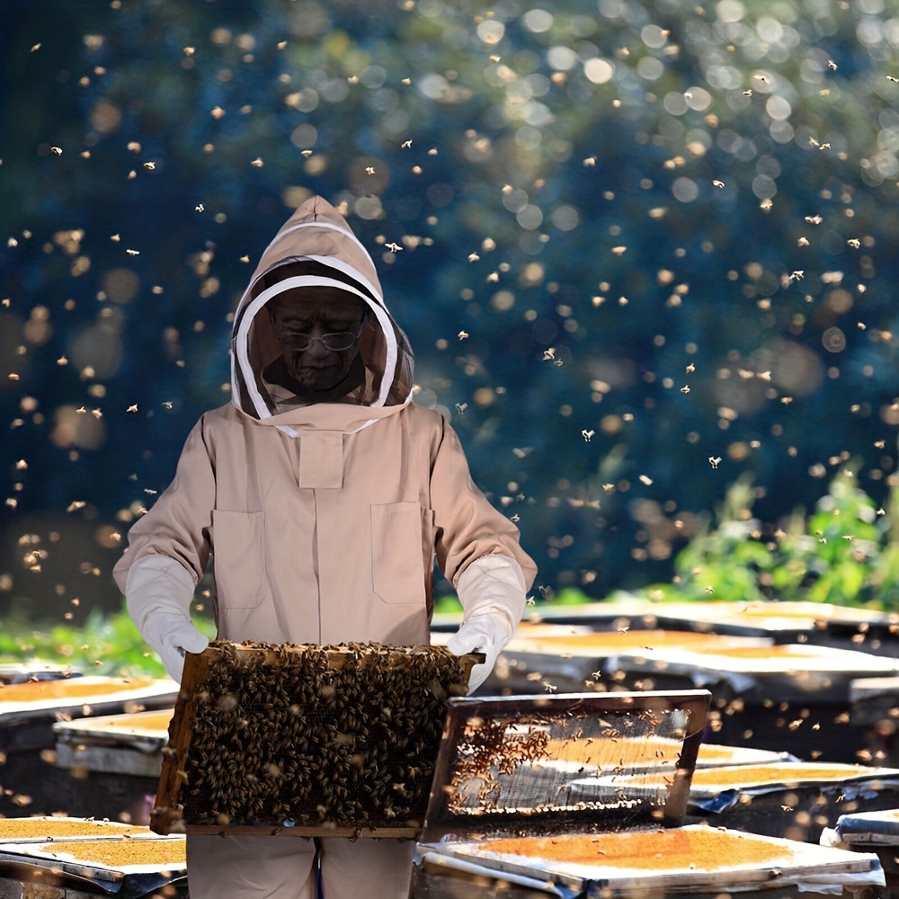 Racleurs de ruches en acier inoxydable, matériel d'apiculture