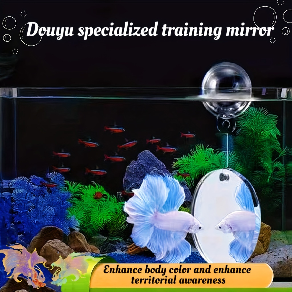 Mirror Mirror On The Wall Whos The Smartest Betta Of All Fish Training  Mirror Aquarium Supplies - Pet Supplies - Temu