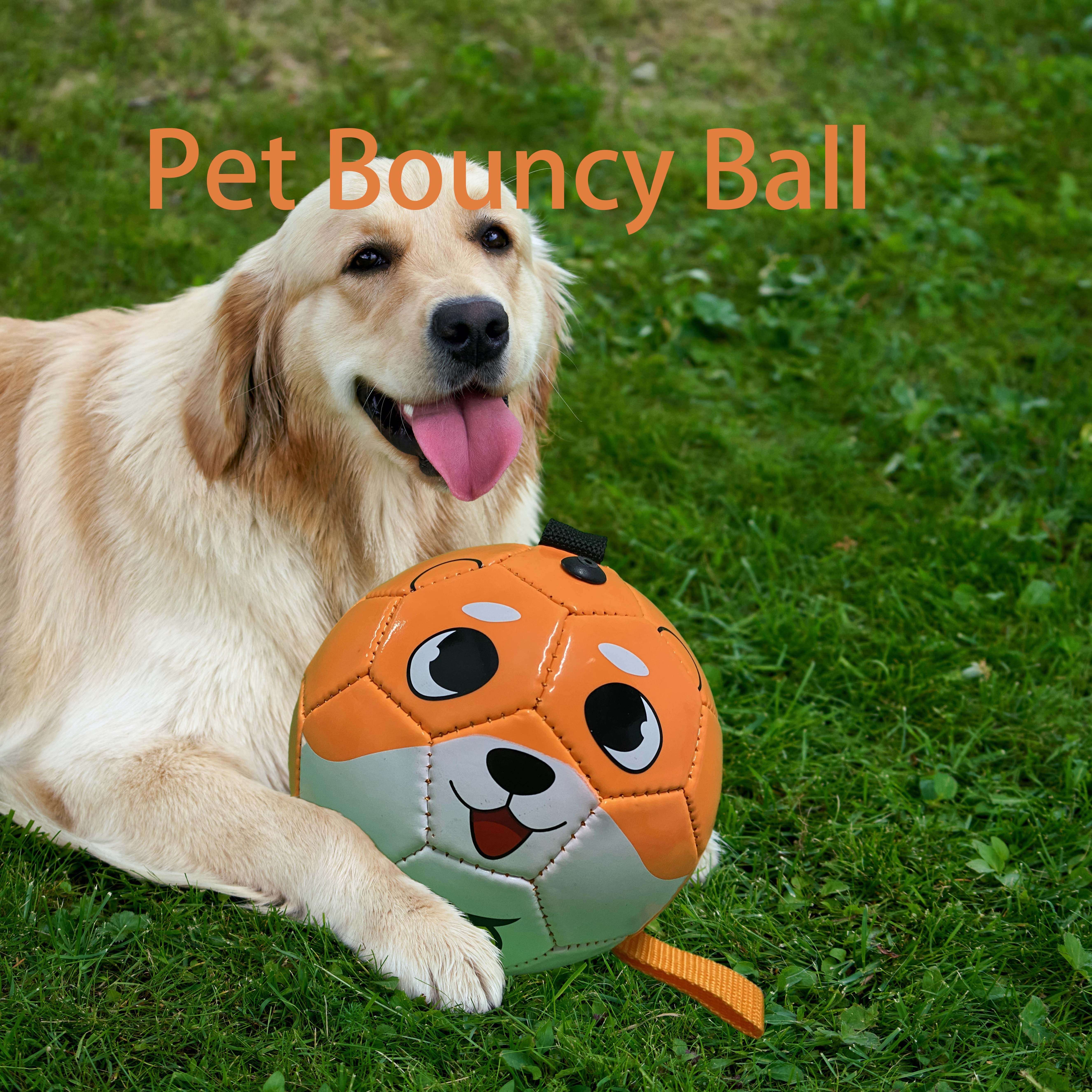 Dog Soccer Ball Indestructible Temu