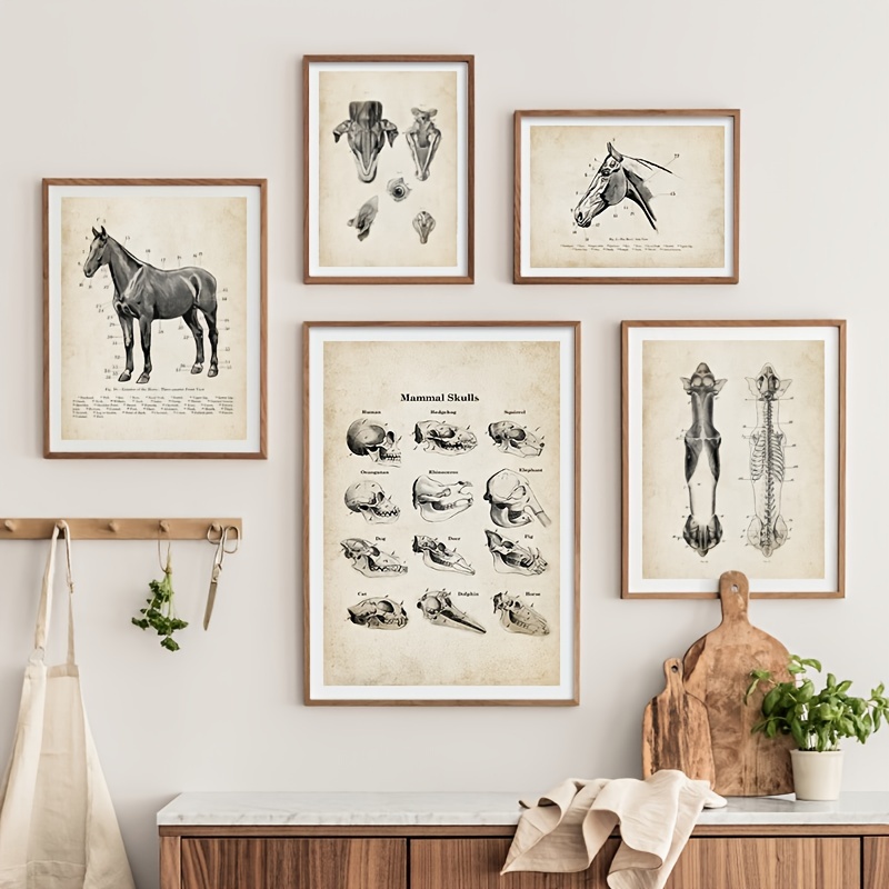 7 Pezzi Cane Cavallo Anatomia Animale Pittura Tela Poster - Temu Italy