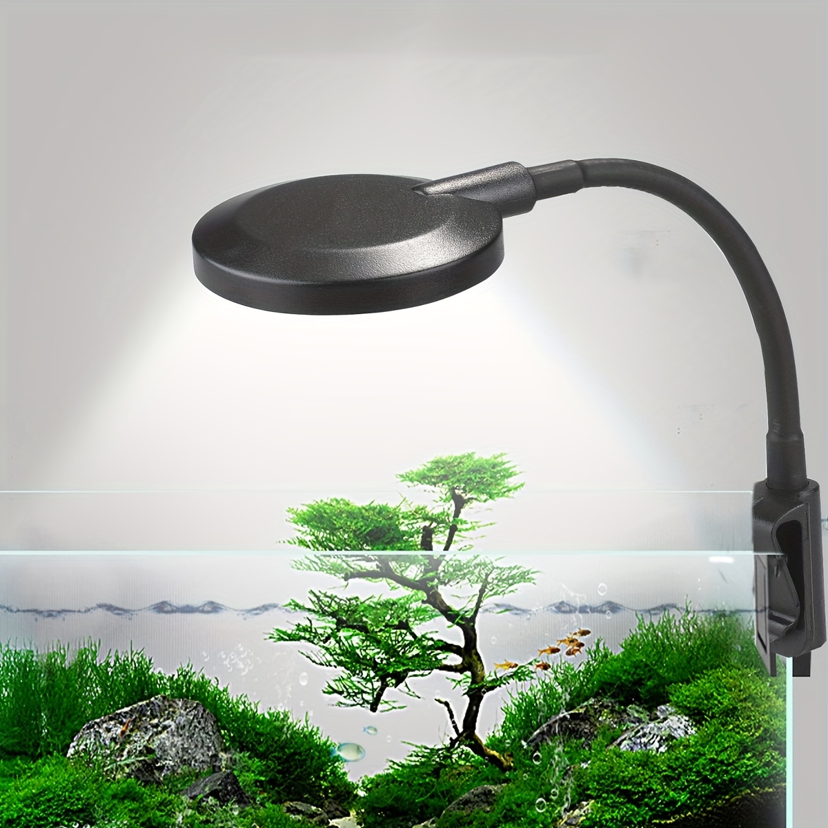 

Brighten Up Your Aquarium With This Small Clamp Led Usb Aquarium Light!