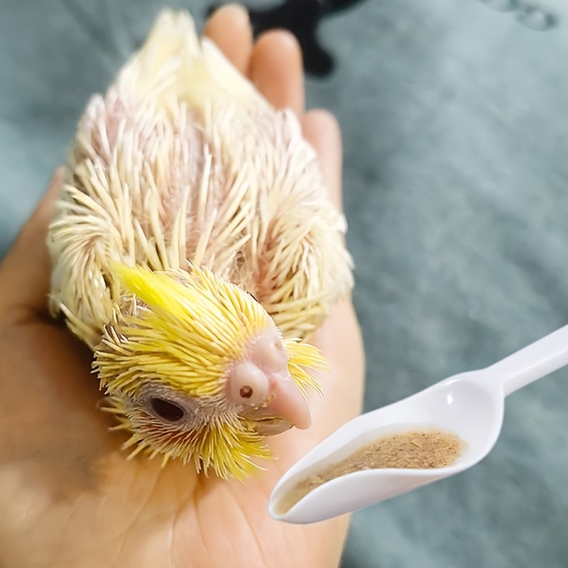 Bird Baby Feeder Plastic Feeding Tool Pet Milk Needle