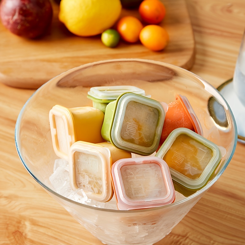 6pcs Baby Food Freezing Ice Tray With Lid, Creative Ice Cube Mold For Home  Refrigerator