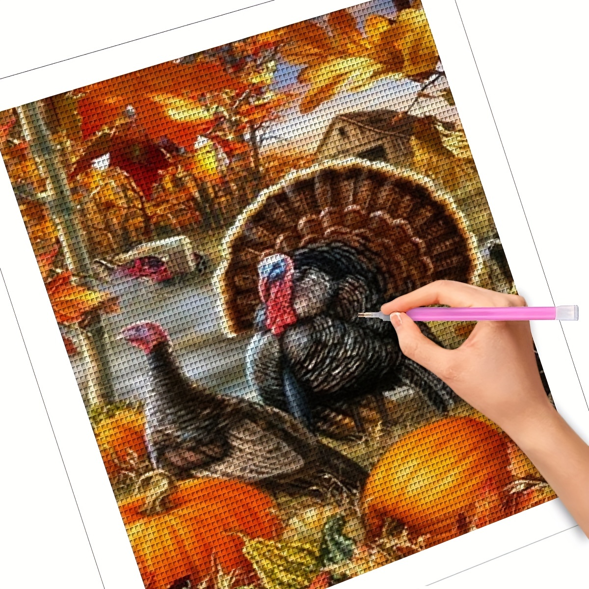 Diamond Painting Kits for Adults, 5D Full Drill Turkey