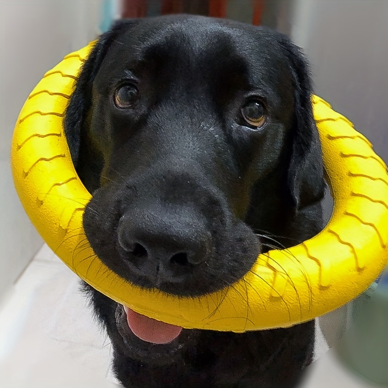 Inel wear bit - jucărie pentru animale de companie