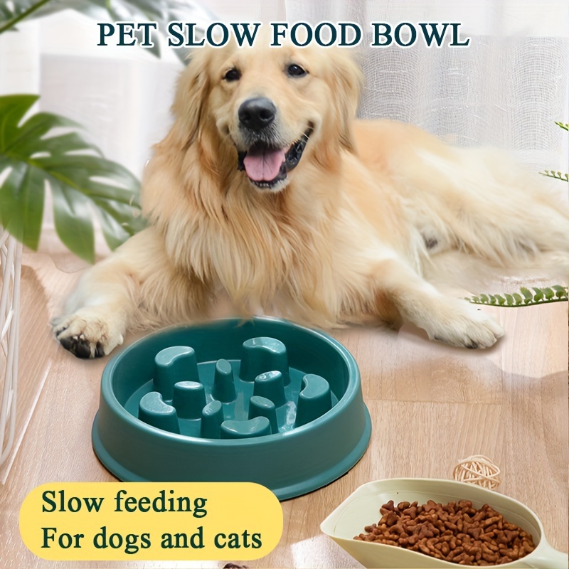 Anxiety relieving Slow Feeder Pet Bowl For Dogs And Cats - Temu