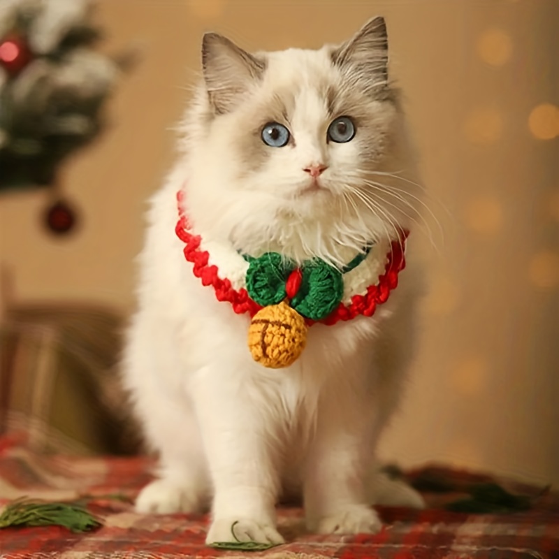 Ragdoll best sale cat accessories