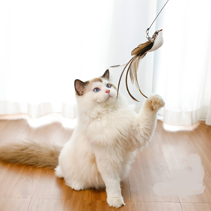 Cat Teaser Toy Indoor Cats Cat Toy Feather Bell Cat Teaser - Temu