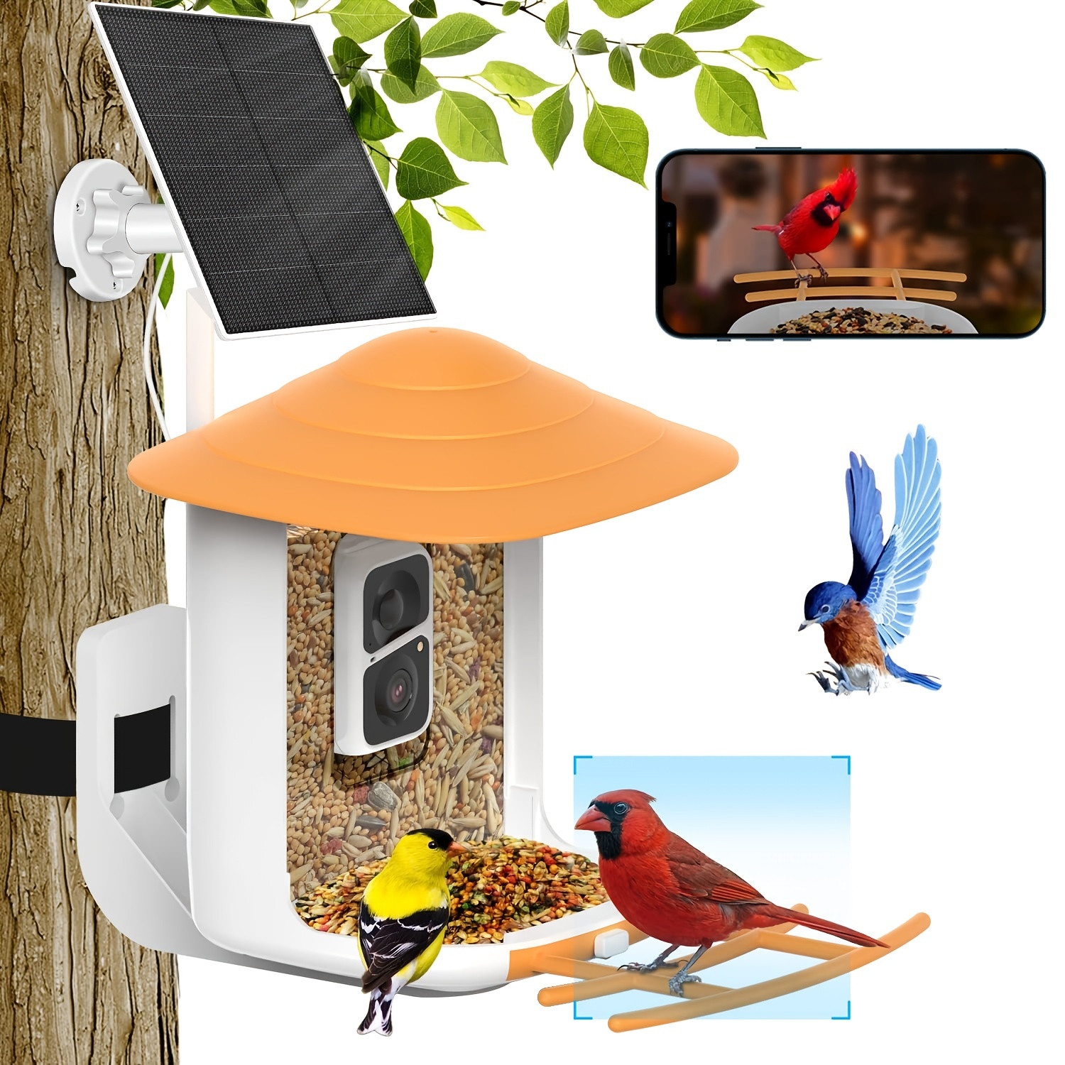 Mangeoire À Oiseaux 1 Pc Avec Caméra, Caméra Intelligente Pour Mangeoire À  Oiseaux Avec Identification Des Espèces D'oiseaux Par IA, Enregistrement