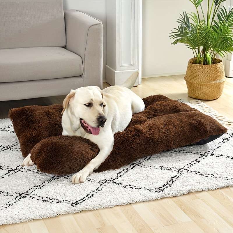 Cat Mat For Sleeping Pet Floor Mats For All Seasons Dog - Temu