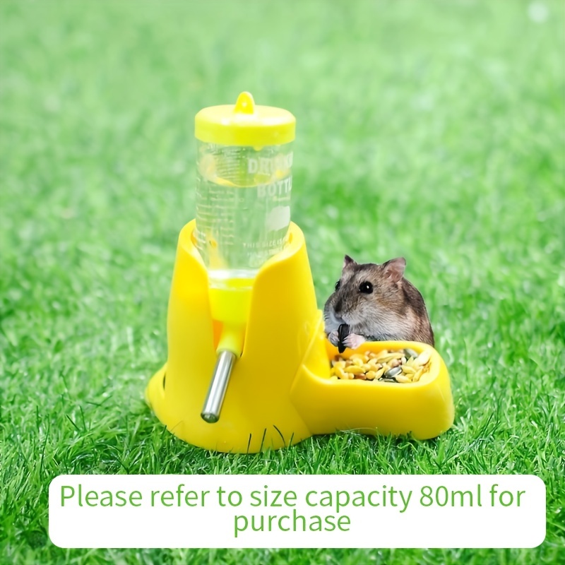 How to give hamster water hot sale without bottle