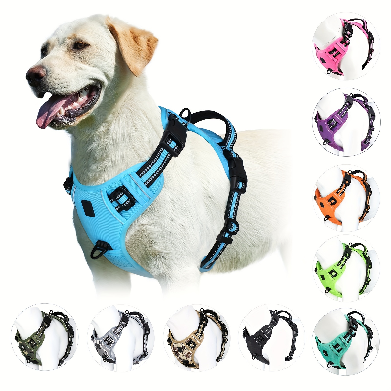 Collar de perro con luz LED impermeable, recargable por USB, ajustable para  caminar, trotar y correr por la noche (verde XS)