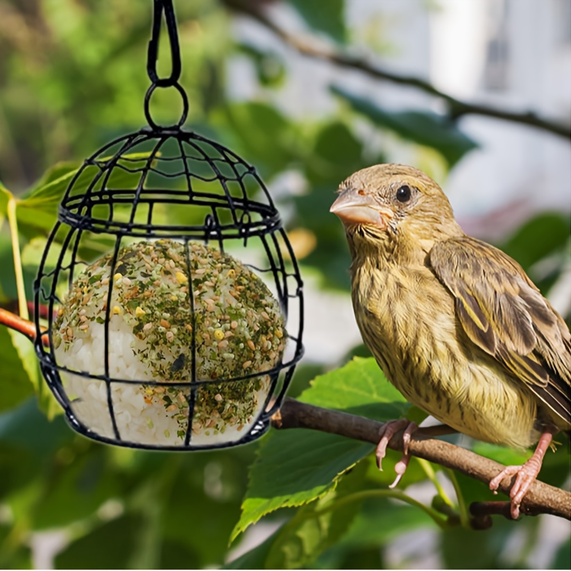 Boules de graisse - pour oiseaux du jardin