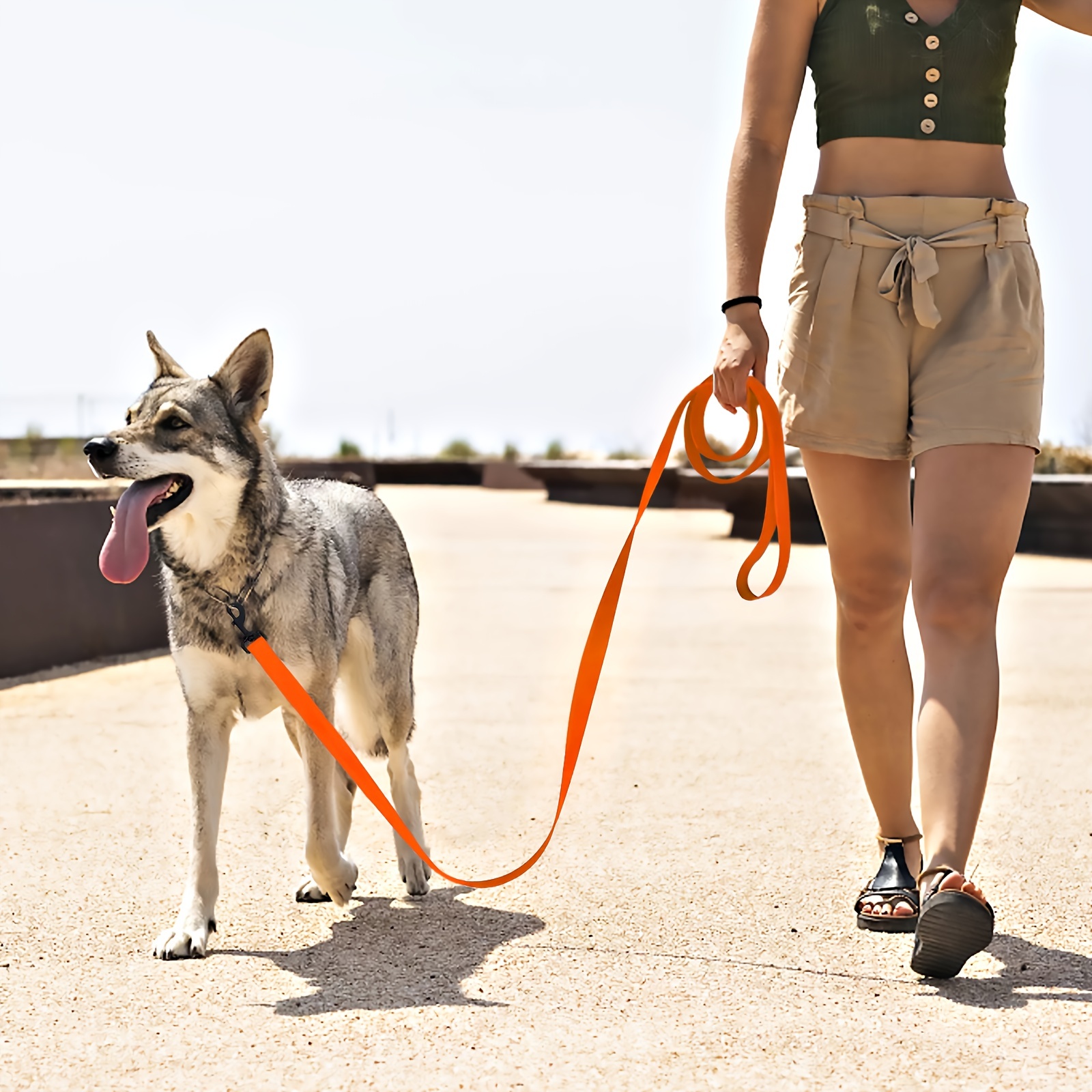 Easy best sale lead leash