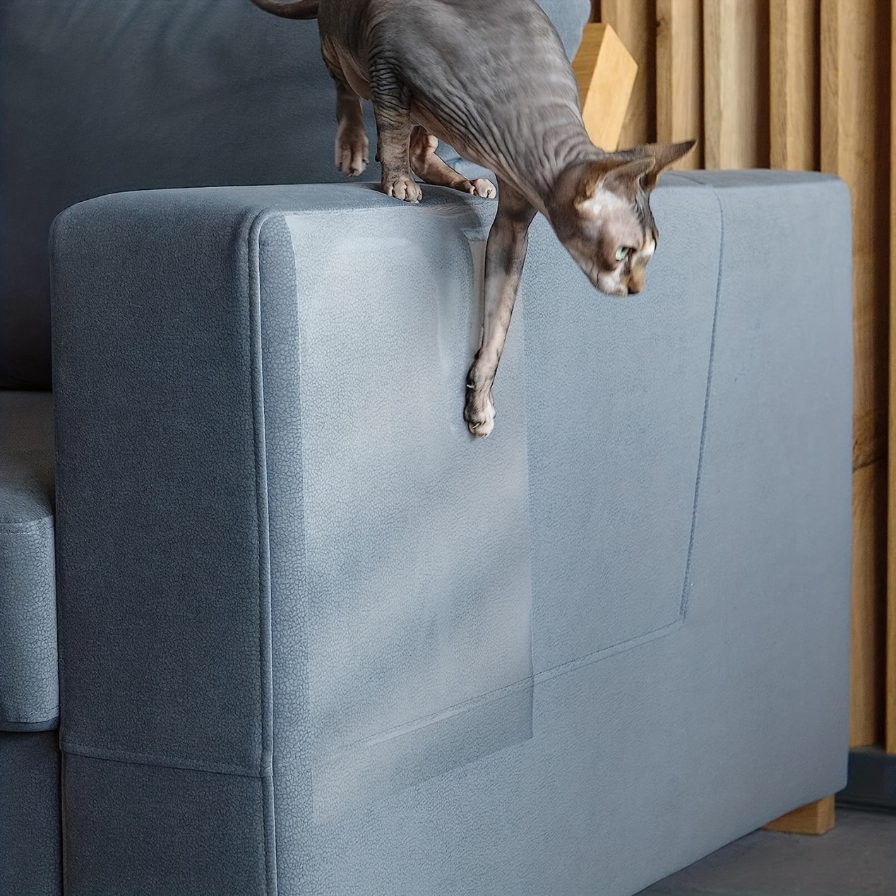Los mejores protectores de sofá para gatos anti-arañazos