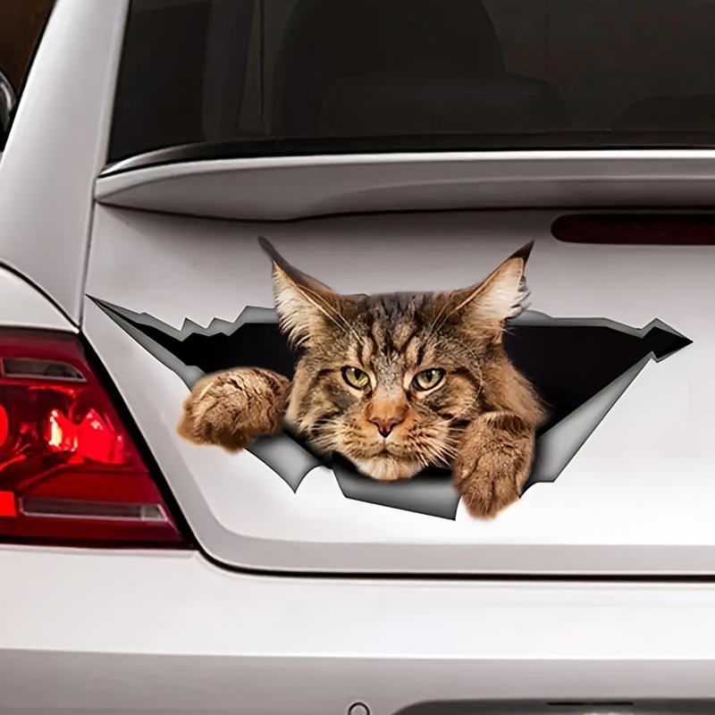 Maine Coon Cat Animal Cartoon Sticker, Peelable Decal, Fun Big , Waterproof - Suitable For Any : Laptop, Water Bottle, Vehicle Paint, Windows, Walls, Mug, Toolbox, Scooter, Boat, Fridge