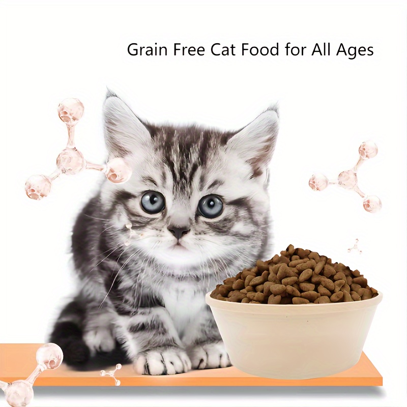 All age cat outlet food