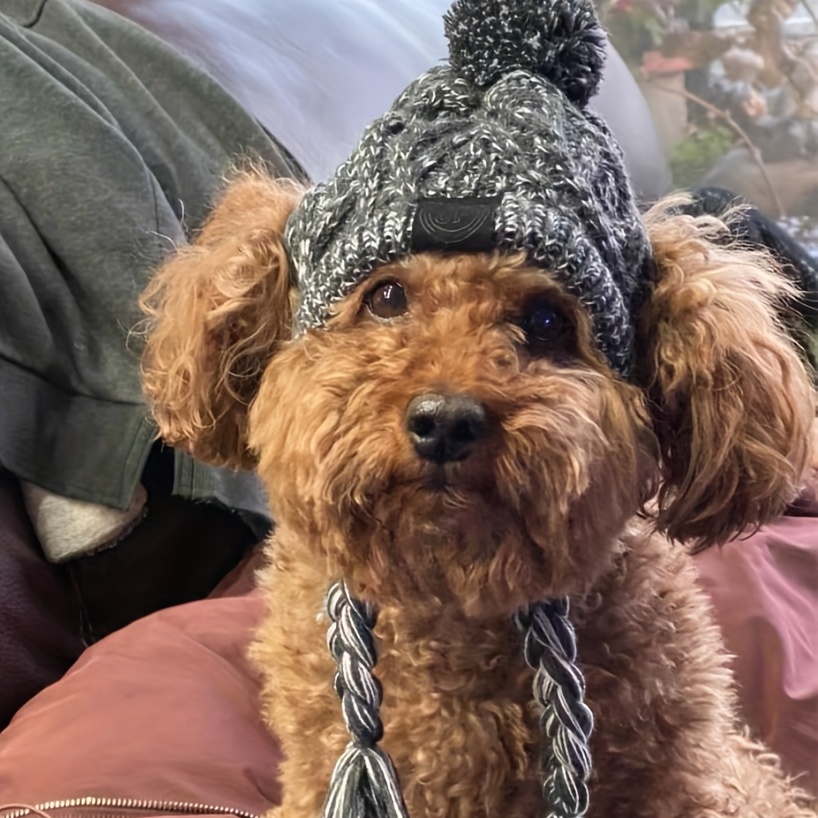 Cozy Winter Dog Hat With Fluffy Pompom Keep Your Pet Warm Temu