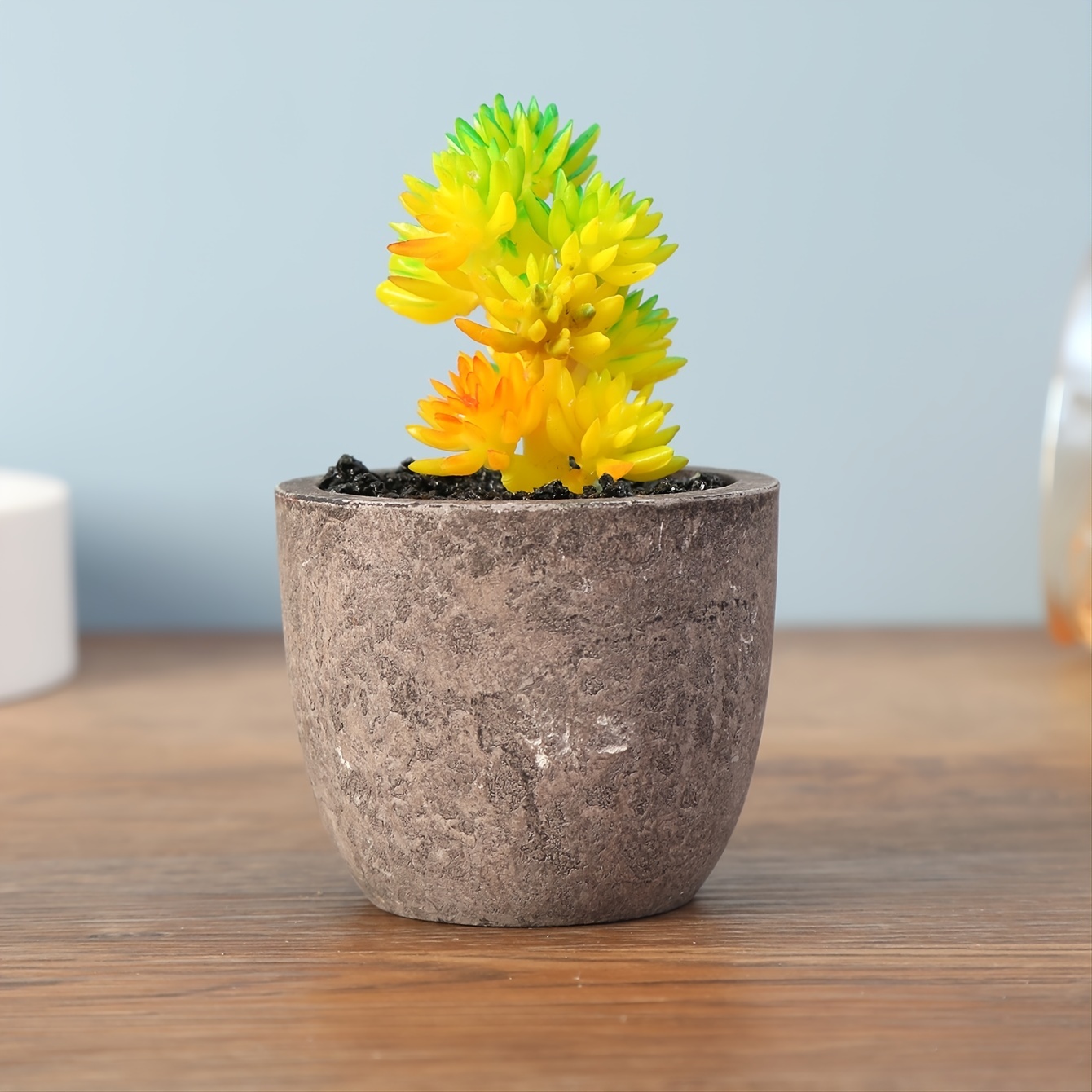 1 Stück Dekorativer Mini-künstlicher Kaktus, Kleine Topfpflanze