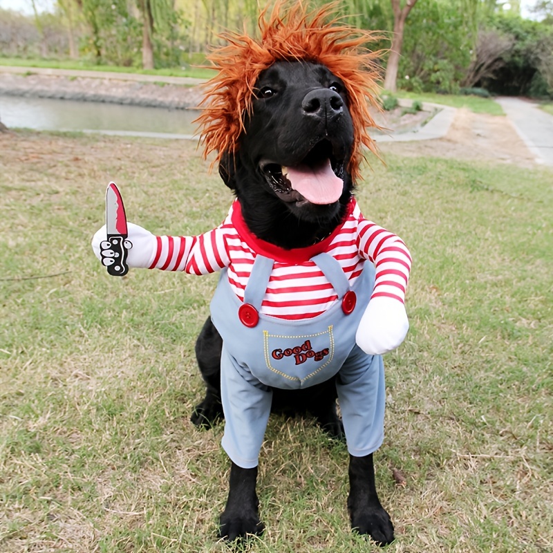 Creative Dog Costumes