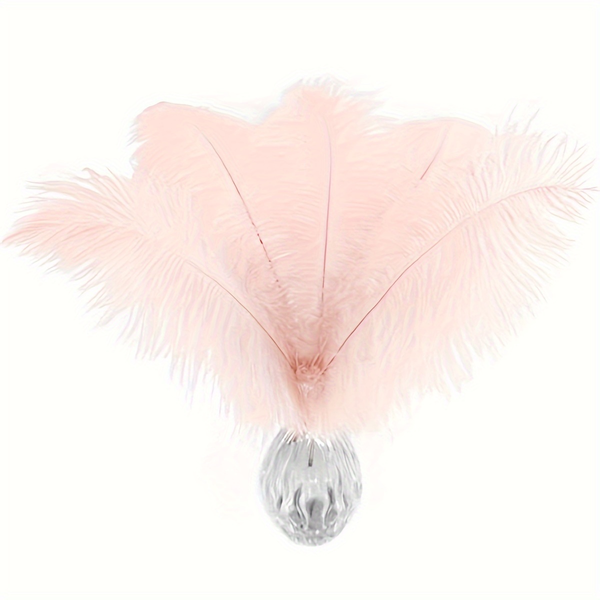 Natural Ostrich Feathers / Bulk For Diy Halloween - Temu