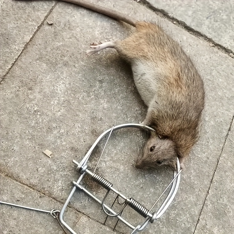 1pc Outdoor Iron Rat Trap, Mouse Clip High Sensitivity, Mouse Clip Reusable  Cage Trap