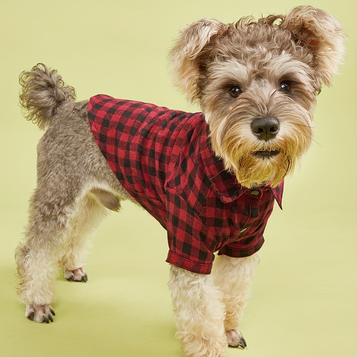 Buffalo plaid dog outlet clothes