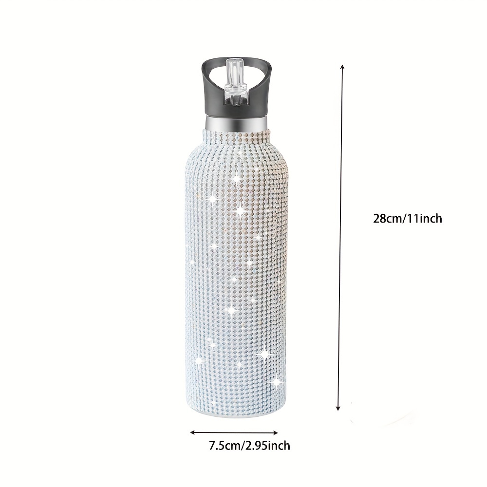 aesthetic art' Insulated Stainless Steel Water Bottle