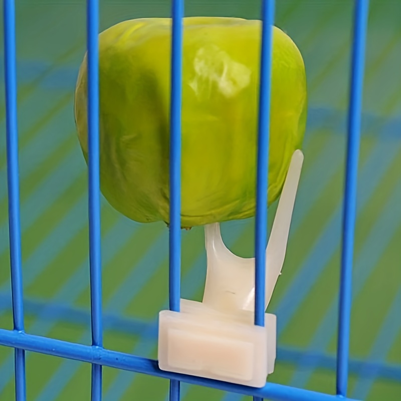 3pcs Mini Plastic Fruit Fork for Parrot Feeding