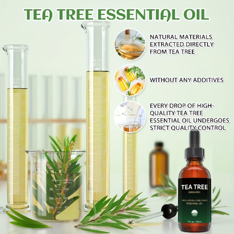 Pure huile essentielle d'arbre à thé. 100 % naturelle