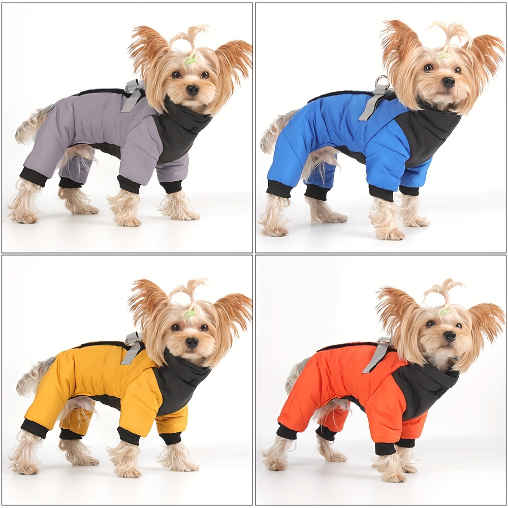 Imperméable pour chihuahua hot sale