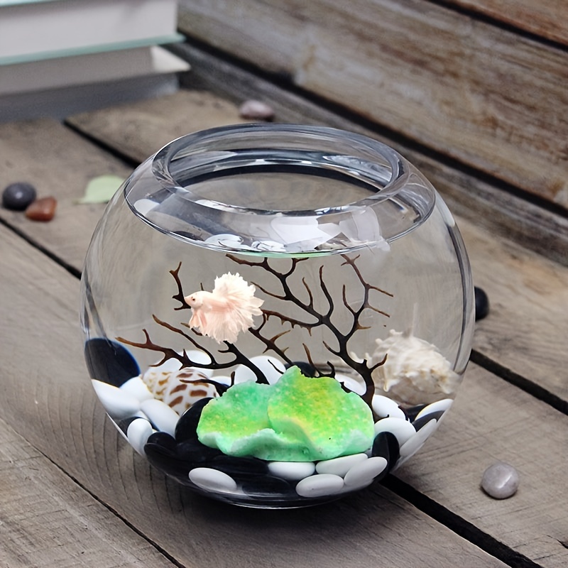 Clear Round Glass Fish Bowl for Betta and Goldfish - Perfect for Aquatic  Plants and Decorations