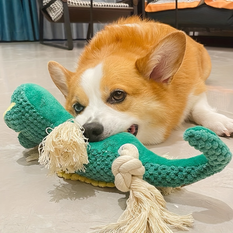 Peluche pour chien sonore et avec corde