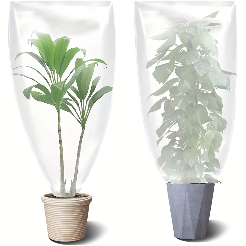 Pot de fleur transparent pour plantes d'intérieur et d'extérieur
