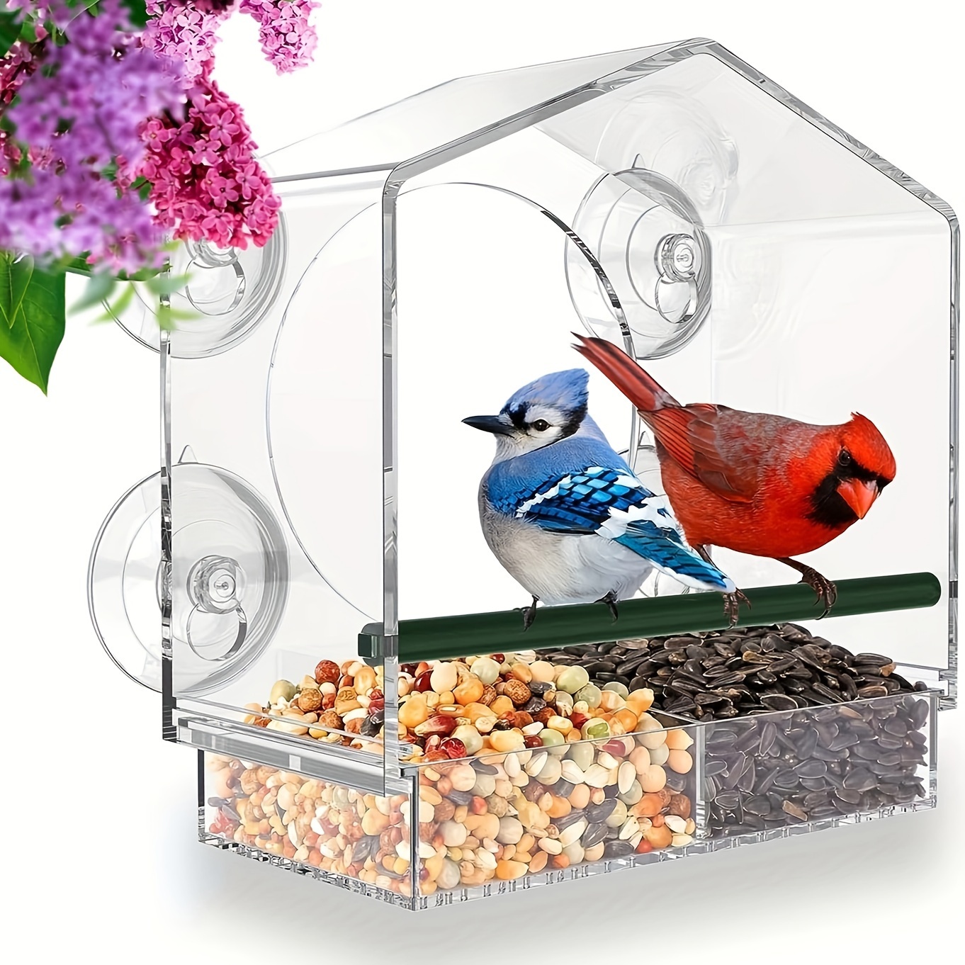 Mangeoire à oiseaux fenêtre, en lot de 10, 3 ventouses, Distributeur de  graines, Nichoir, HLP : 15x15x7 cm, transparent