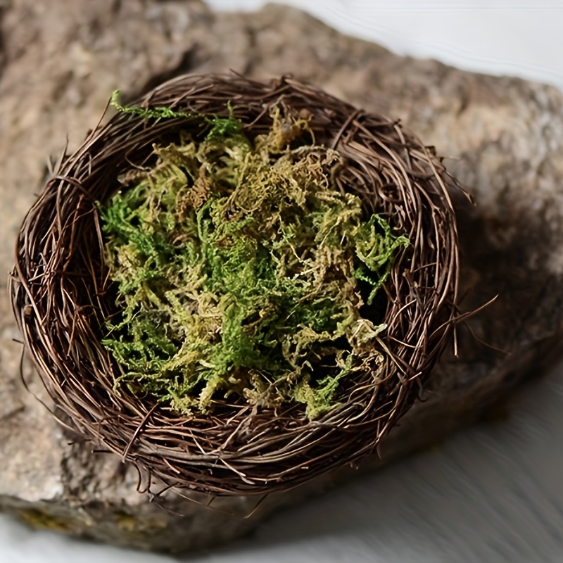 

100g Forest Green Artificial Moss - Perfect For Fairy Gardens, Terrariums & Crafts! Easter Gift