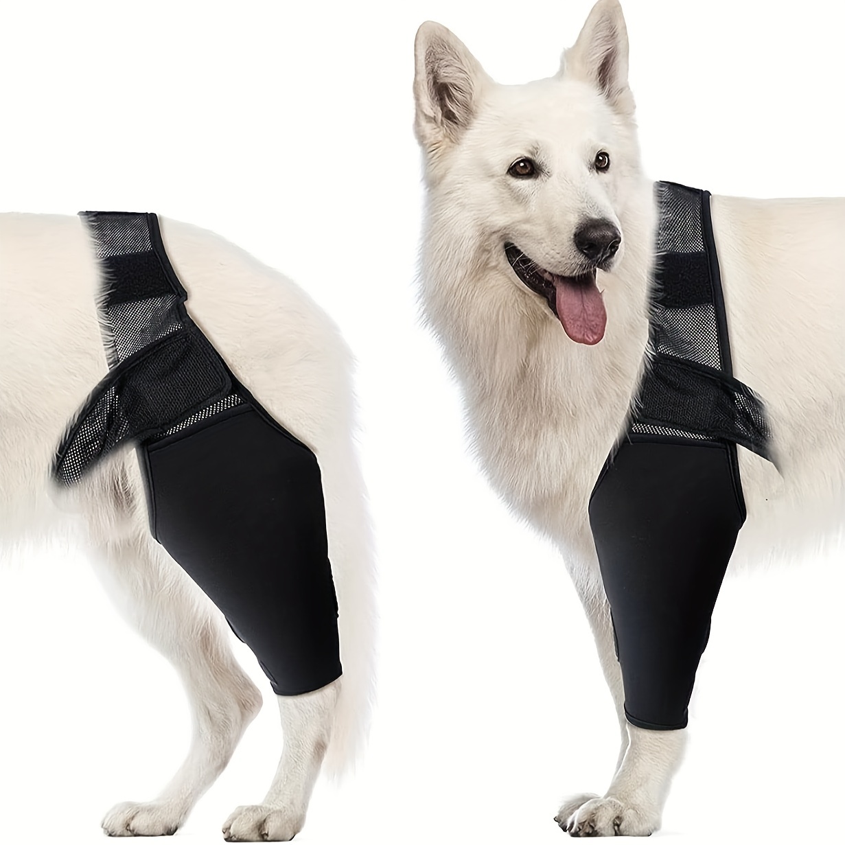 2 Pack Comfortable Dog Legs Braces Canine Rear Hock Joint Support  Compression Wraps Pet Front Hind Legs Knee Pad Carpal Splint Dog Elbow  Braces Protect Back Legs Wounds Injuries Sprains Arthritis 