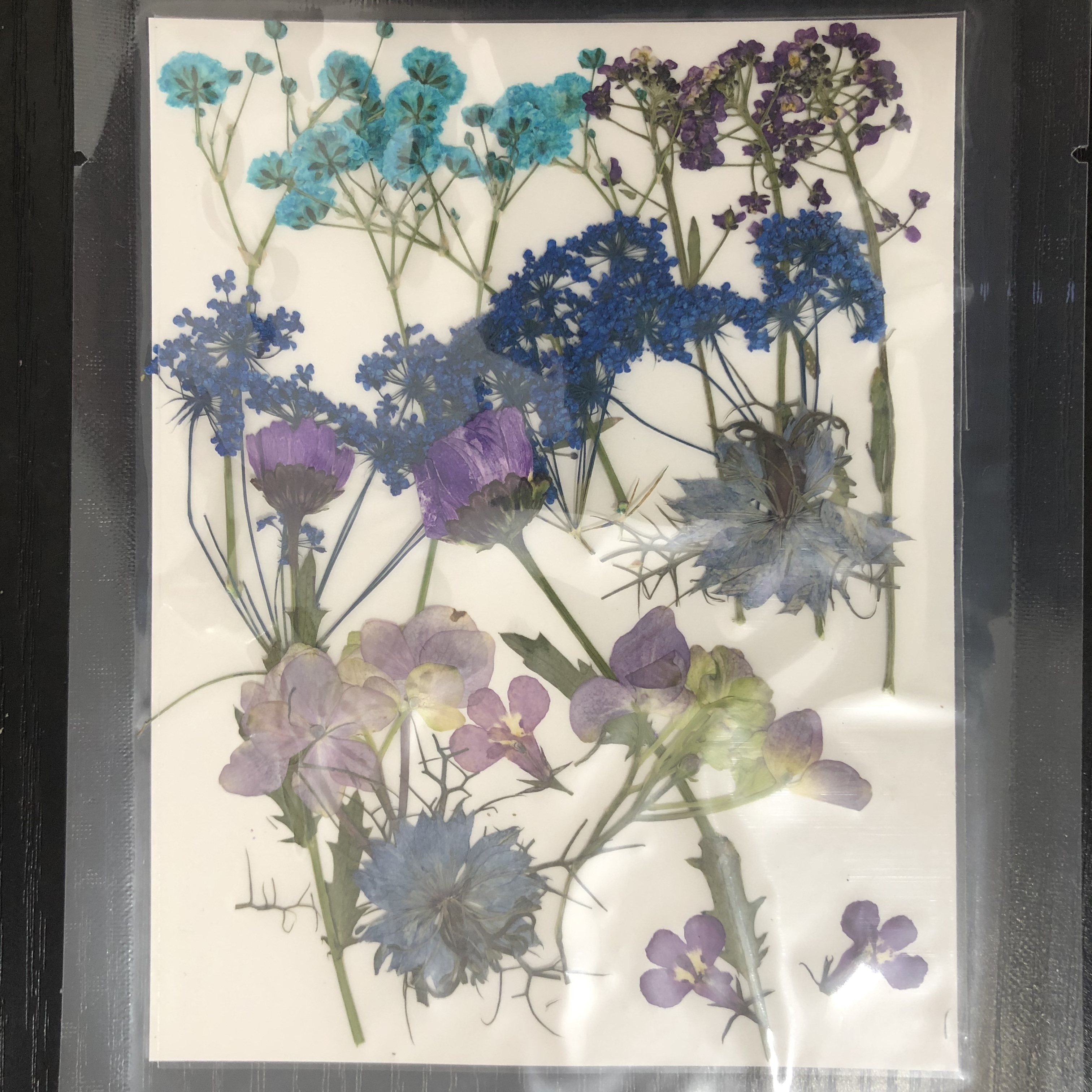 Pressed flower wall decor framed dried flowers wall hanging epoxy