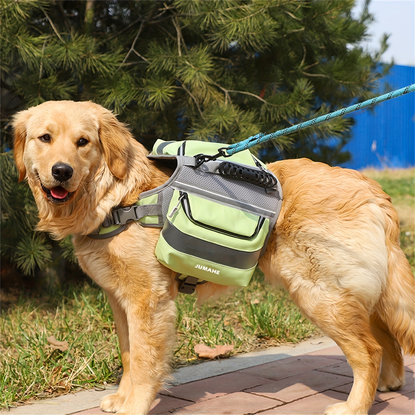 1pc Sac De Voyage Pour Animaux De Compagnie, Sac À Dos Portable Pour Chien,  Sac À Bandoulière Pliable, Sac À Dos De Voyage Pour Chien - Temu France