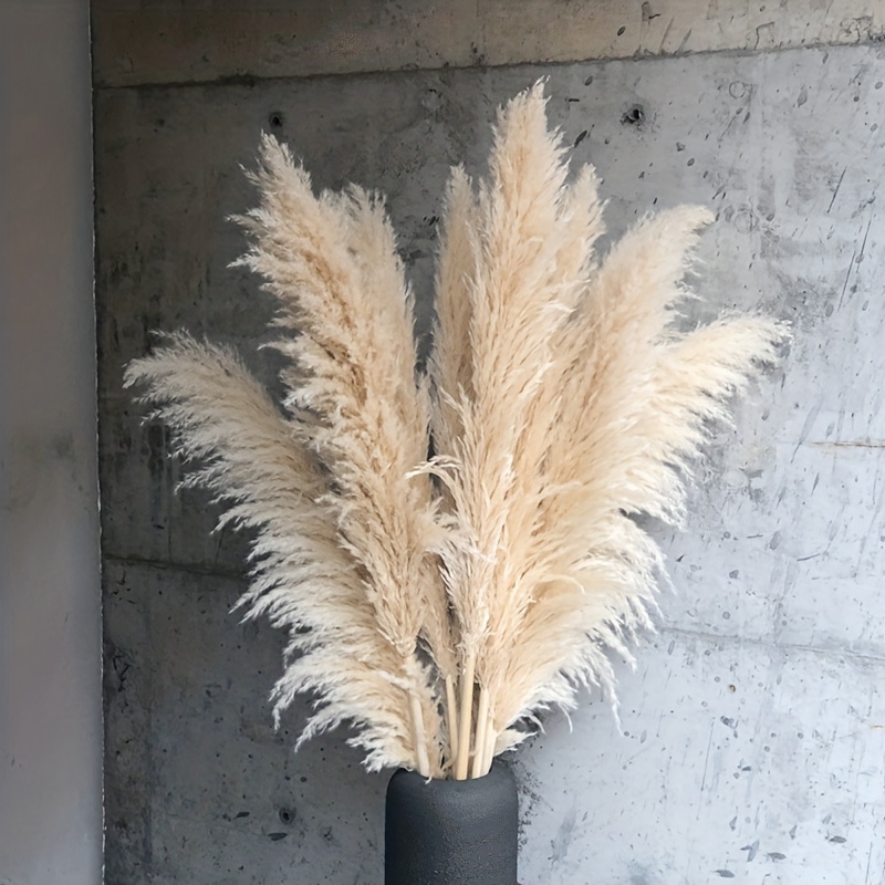 6/12pcs Large Pampas Grass Bouquet - Perfect For Boho Home Decor, Weddings,  And More,Pampas Grass Large Decorative Dried Flowers Living Room