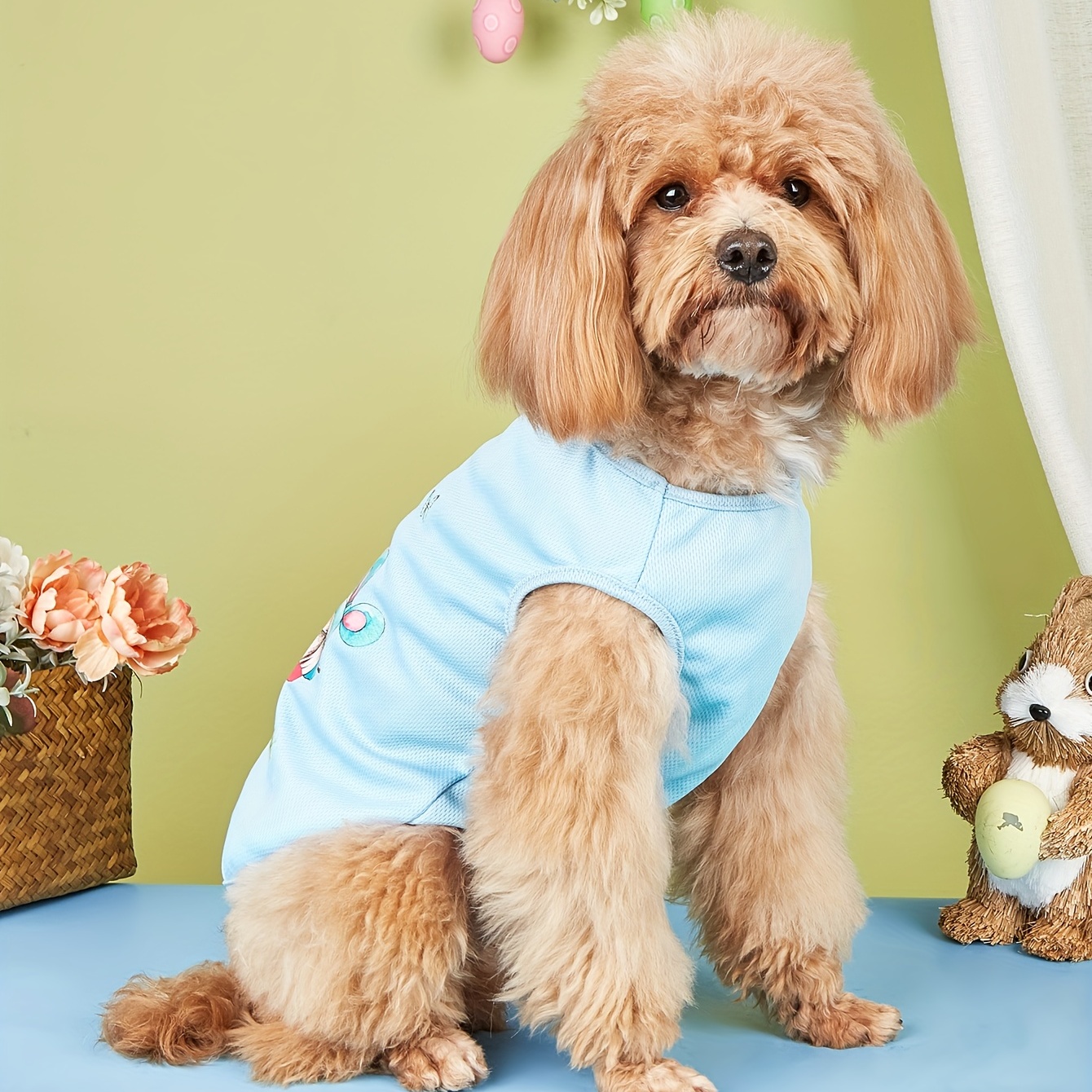 Dog outfits for outlet easter